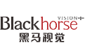 外貿(mào)網(wǎng)站建設(shè),外貿(mào)網(wǎng)站設(shè)計(jì),獨(dú)立站開(kāi)發(fā),跨境電商